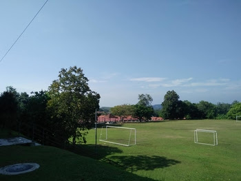 picasion.com