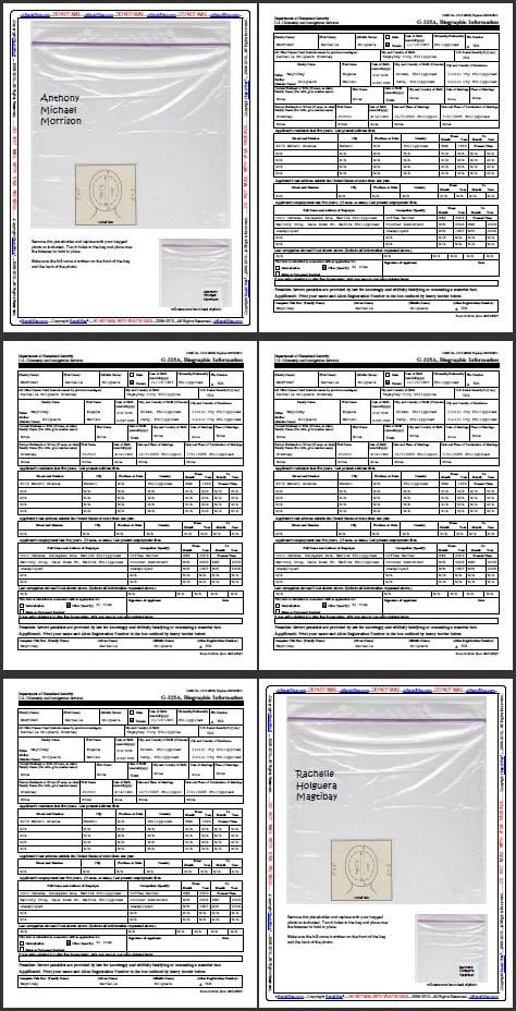 sample k1 visa K RapidVisa  Sample  1