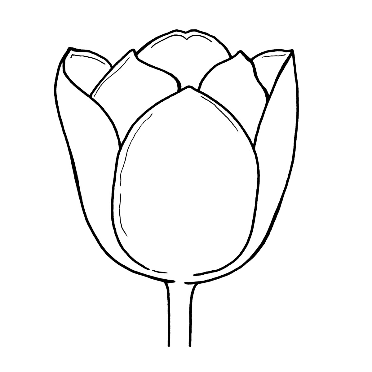 Free Tulip Cliparts Outline Download Free Clip Art Free Clip Art