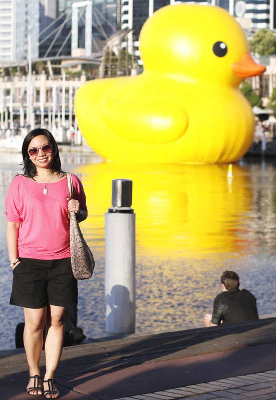 Giant Rubber Duck in Sydney