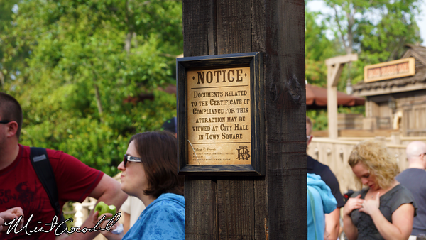 Disneyland Resort, Disneyland, Big Thunder Mountain Railroad