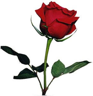 Sad Nazm & More Only @ Beautiful-Shayari Yahoo! Group