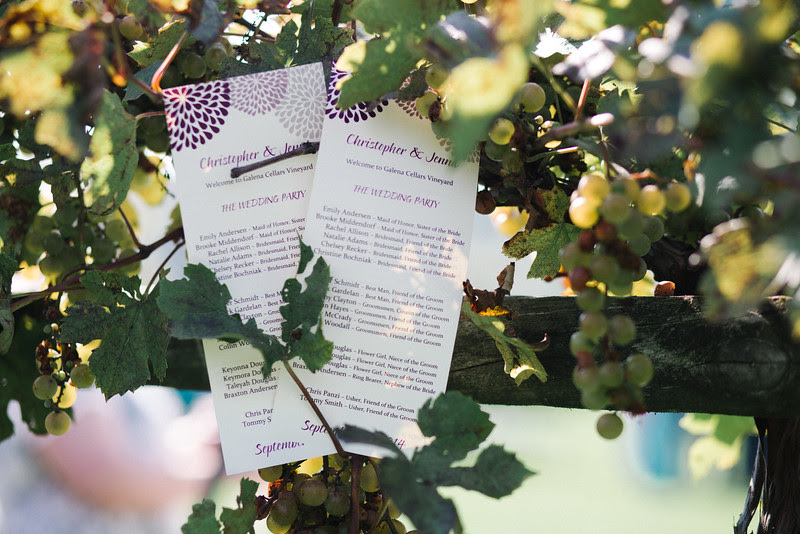 Chris & Jenna's wedding ceremony at Galena Cellars Vineyard & Winery outside of Galena, IL . – Ryan Davis Photography – Rockford, Illinois.