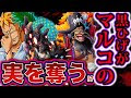 コンプリート！ onepiece マ��コ 悪魔の実 175414-Onepiece ��ルコ 悪魔の実