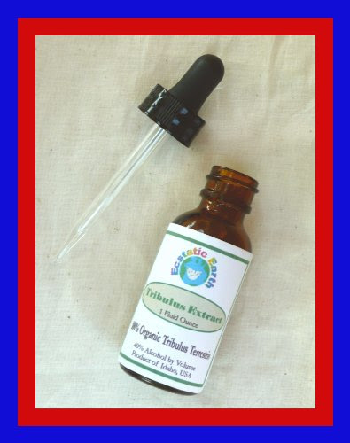 Christmas Damiana Tincture Extract ~ Organic ~ (1 Ounce Bottle) Deals