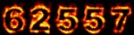 Web Site Hit Counter