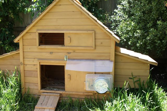 chicken coops designs for 8 Here's the chicken coop, with the 