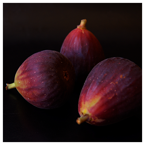 figs© by Haalo