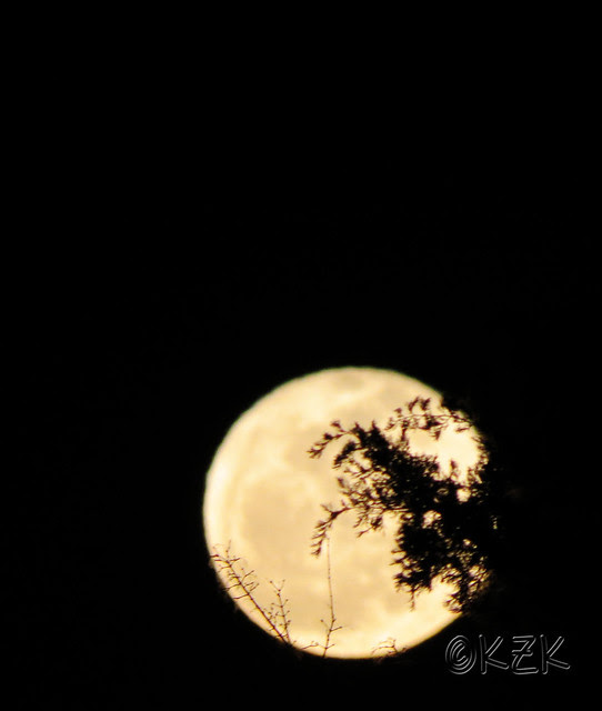 IMG_1178FullMoon2
