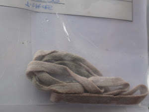 Cadarço que Luciene teria usado para enforcar menina Lavínia era do próprio tênis da criança (Foto: Carolina Lauriano / G1)