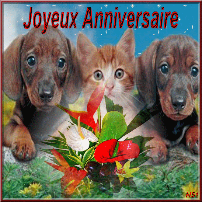 CHIENS et CHATS GIFS ANIMES Page 10 CHIENS et CHATS GIFS ANIMES Page 10