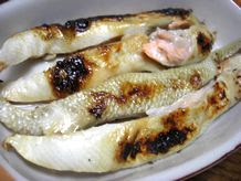 鮭ハラスの奉書焼き 簡単焼き物レシピ