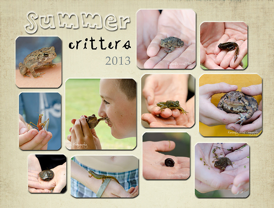 summer-critters-collage