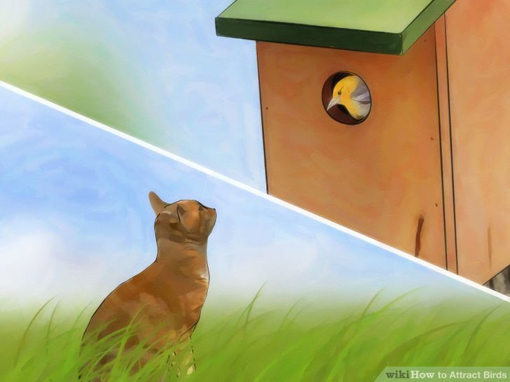 Attract Birds Step 13 Version 3.jpg