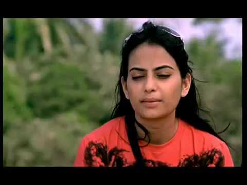 Truth Love Cash (TLC) Promo 2.mp4. Truth Love Cash (TLC) Promo 2.mp4