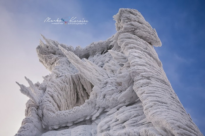 Снимок застывшей природы.