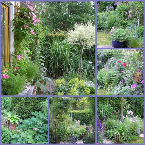 Minig rtchen Mein sch ner Garten Forum Minig rtchen Mein sch ner Garten Forum
