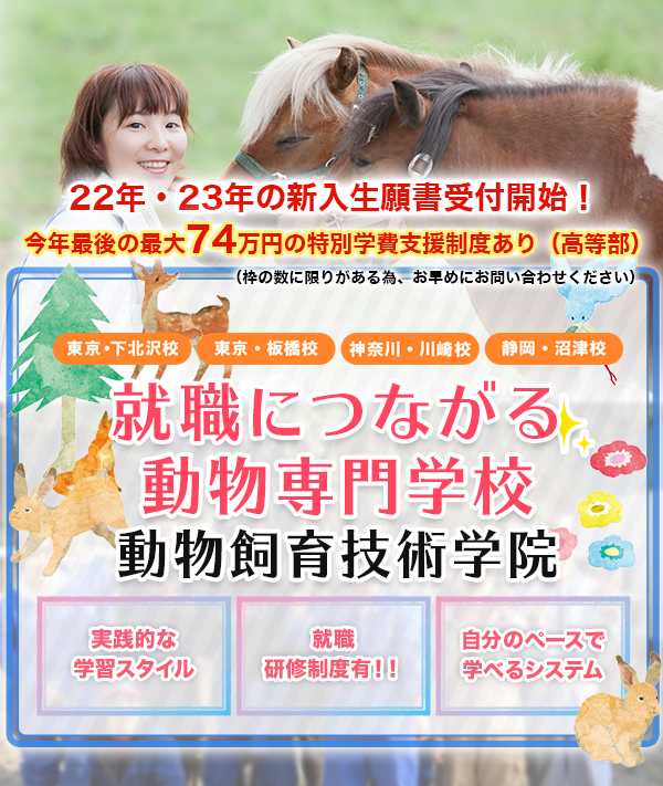 就職につながる動物専門学校動物飼育技術学院