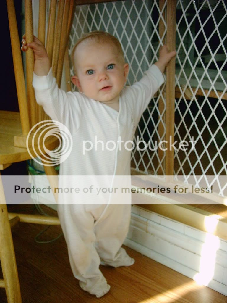 Photo Sharing and Video Hosting at Photobucket
