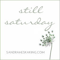 Sandra Heska King - Still Saturday