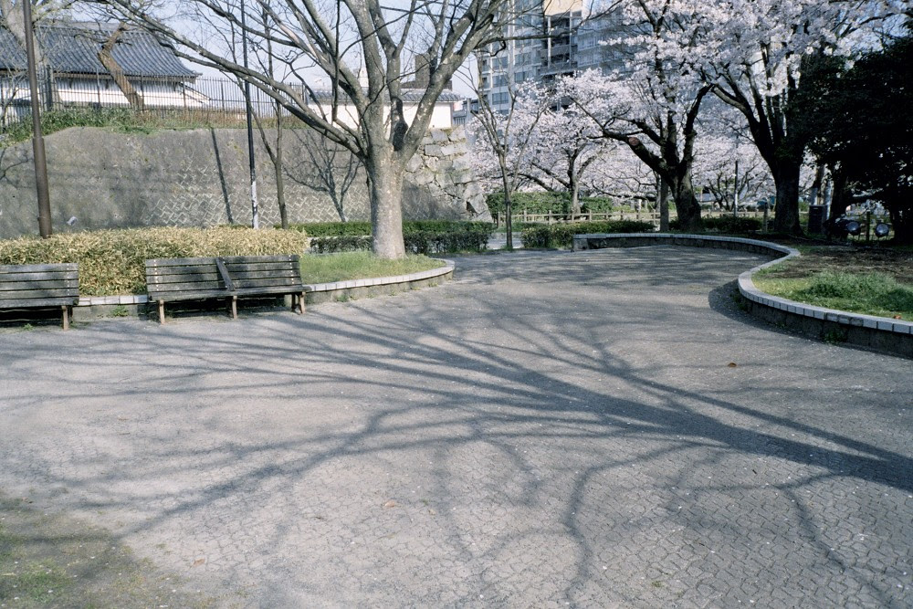 Negative0-04-33A(1)