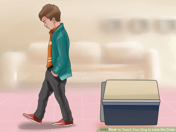 Teach Your Dog to Love the Crate Step 24.jpg