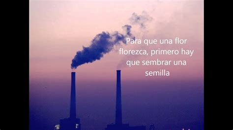 frases inspiradoras  pensamientos  reflexionar youtube