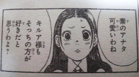 連載再開記念 Hunter Hunter 登場人物一覧まとめ その1 アニメ マンガ大好き速報 毎日更新