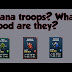 Mana Troops Empires And Puzzles / In this guide, i will explain the best strategies for leveling up your mana troops and getting to the mana generation bonus breakpoints, with charts on the number of tiles required for special skills to activate.