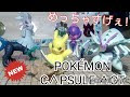 √ダウンロード ポケモン カプセル 697692-ポケモン カプセル