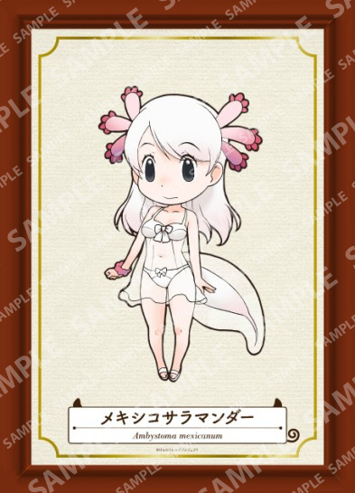 けものフレンズ メキシコサラマンダーちゃんやばくない けものフレンズ Com