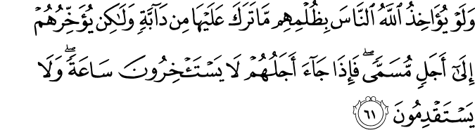 Surat An-Nahl