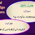 Common Knowledge Questions And Answers / 170 General Knowledge Quiz Questions And Answers For Your Next Virtual Pub Quiz How Big Is Your Brain By Ahaslides Ahaslides Interactive Presentation Software Medium : 18 / 30 a word or sentence that is the same front and back (racecar, kayak) palindrome.
