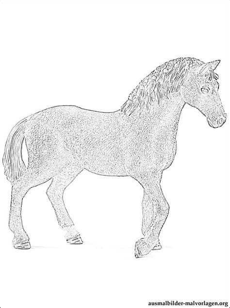 schleich pferde ausmalbilder kostenlos und gratis