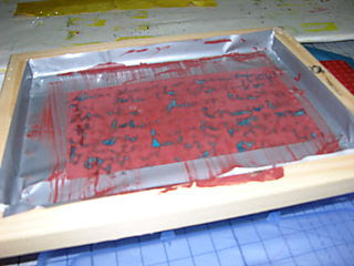 DSCN3181