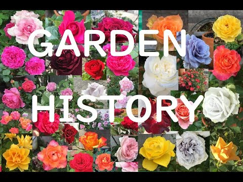 ルージュ の 伝説