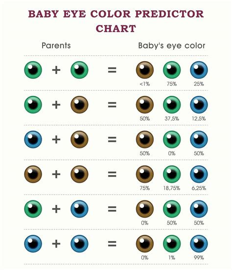 eye color chart what color eyes will your baby have