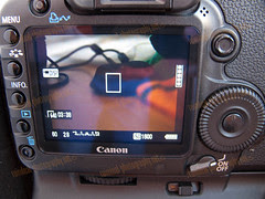 Tip: Canon 5D MarkII - Video Locks Up/Freezing (Solution)
