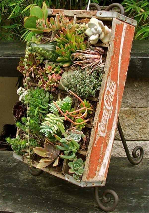 26 Mini Indoor Garden Ideas to Green Your Home - Amazing