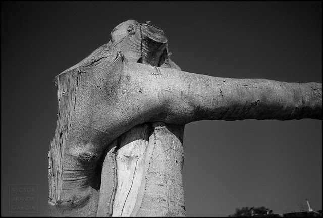 Sin título (Valencia 2001)