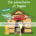 theadventuresofhiggins