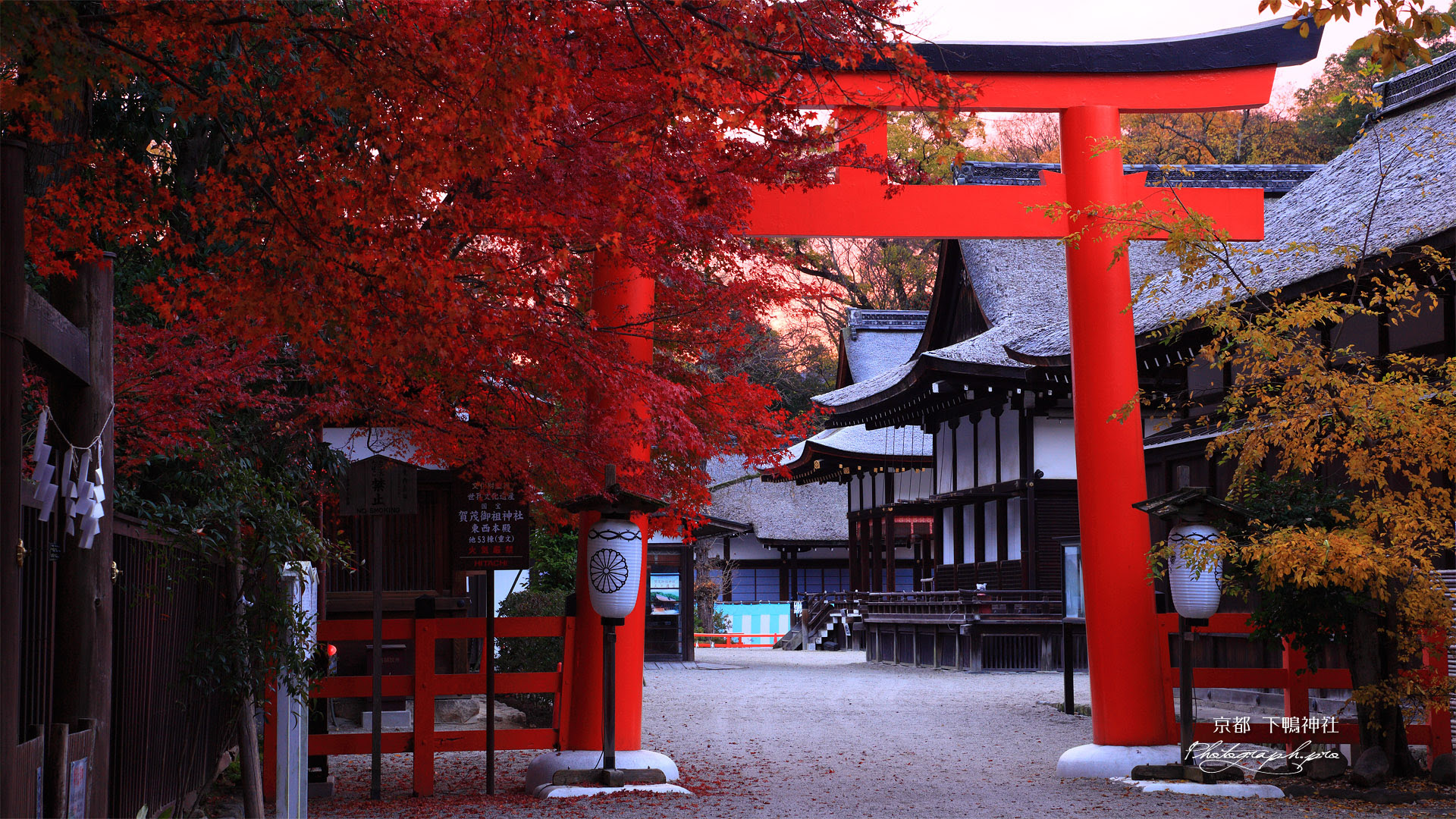 下鴨神社 紅葉と本宮 の壁紙 19x1080