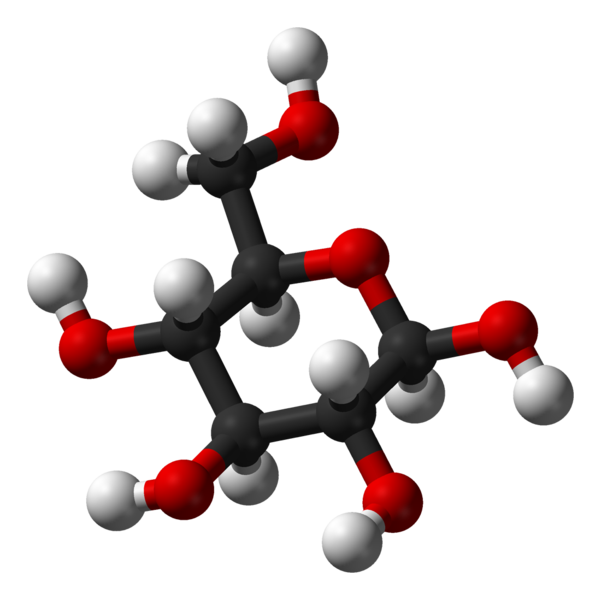 galactose structure alpha d wikidoc Glucose galactose structure alpha d wikidoc Glucose