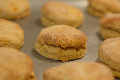 Sweet Potato Biscuits Cooling From Oven