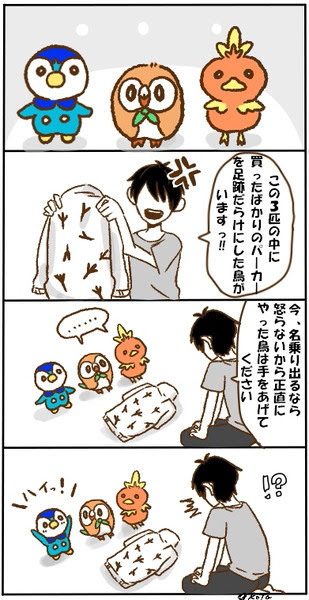 鳥ポケモンまとめ Pixiv年鑑 B