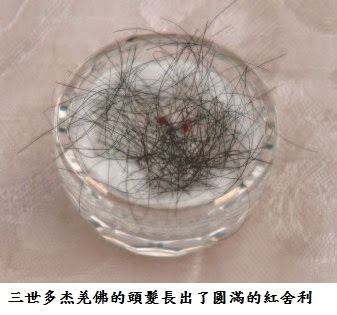 南無 第三世多杰羌佛