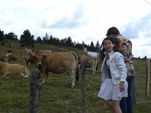 Paul, Zoé et les Vaches.jpg