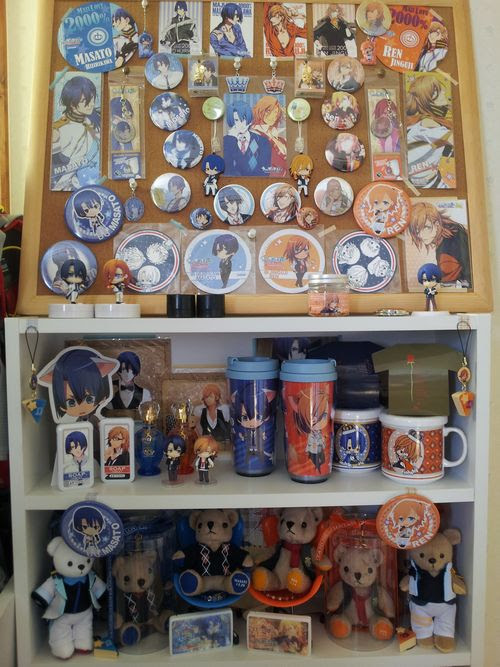 隠れヲタな日々 御曹司棚が充実