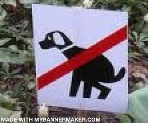 create your own banner at mybannermaker.com!