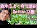 いろいろ 庭木 下草 396837-��木 下草 組み合わせ